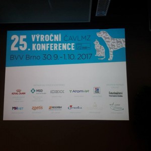 22046579_779625395550408_7930923335723571054_n