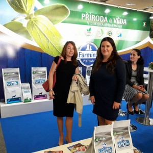 22089007_779625212217093_4846532945205824023_n