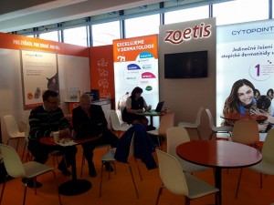 22089222_779625335550414_5128438301870661862_n