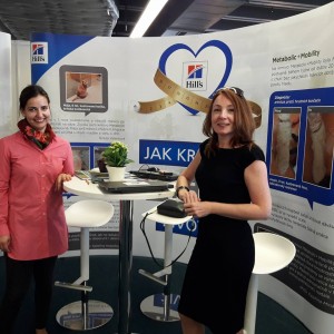 22154468_779625182217096_1738624134333207918_n