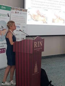 33399979_855323277985219_7638199981286883328_n